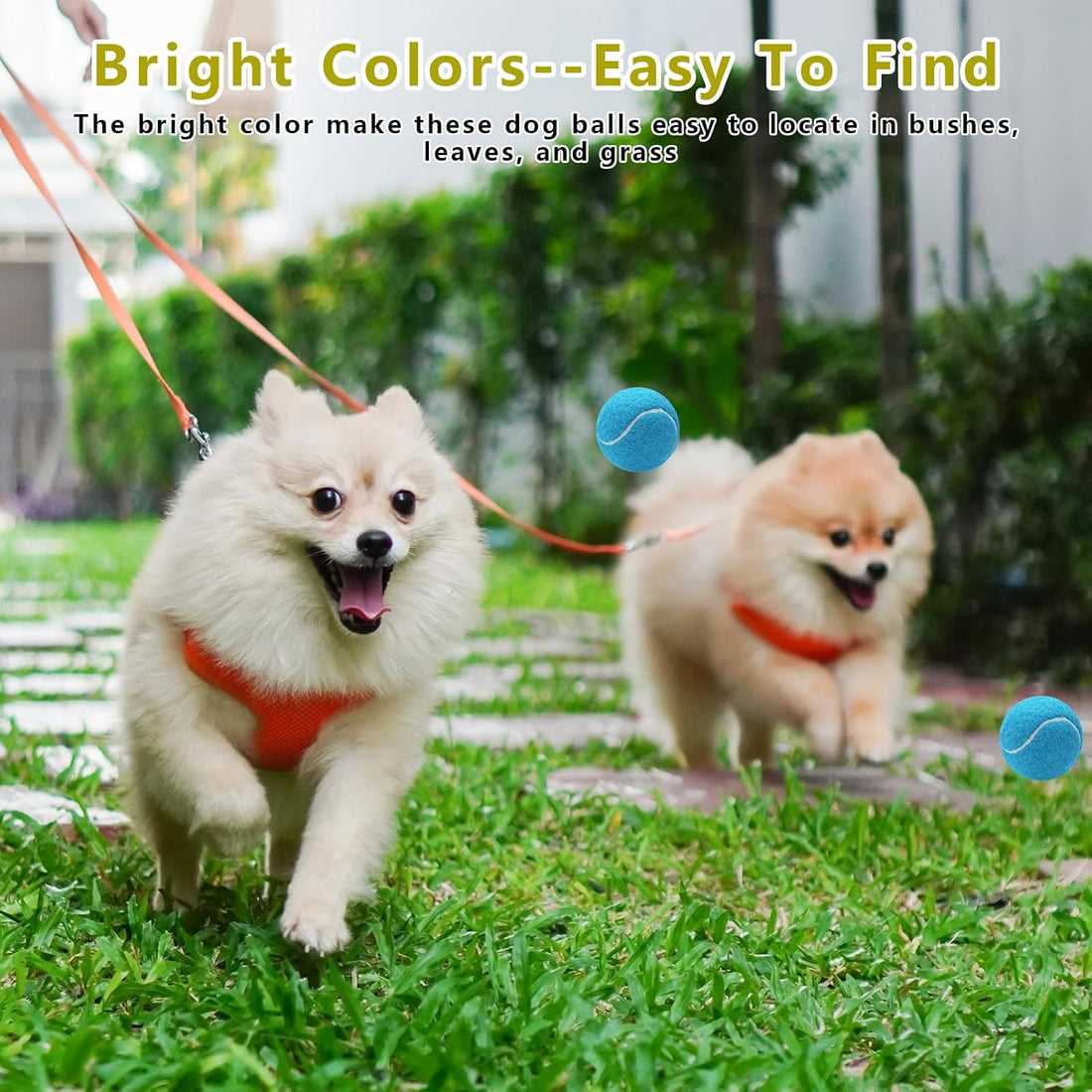 Magicorange 10 Pack Squeaky Mini Tennis Balls, 1.5 inch Small Dog Ball