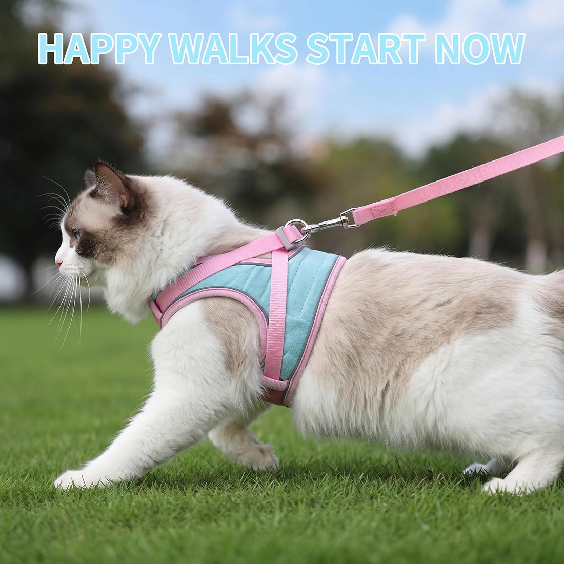 Cat Harness and Leash, Escape-Proof Cat Harness Set