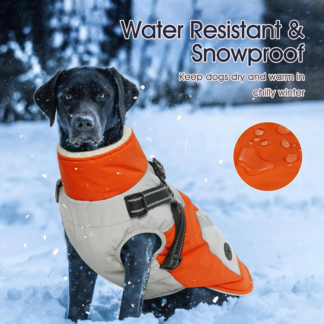 Dog Winter Coat Waterproof - Orange,Medium