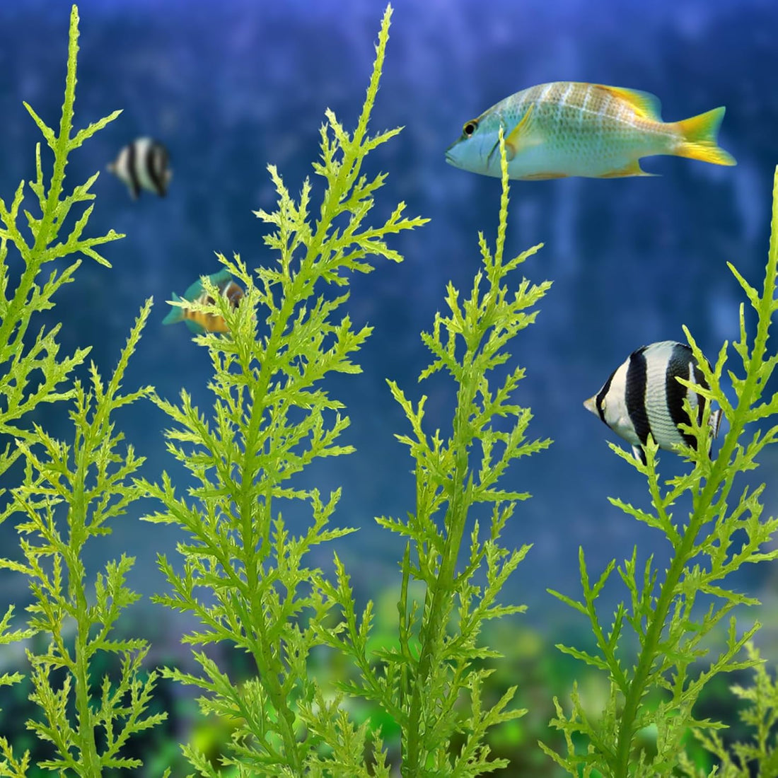 QUOZUO Fish Tank Accessories Large Plants, Green Fish Tank Decorations