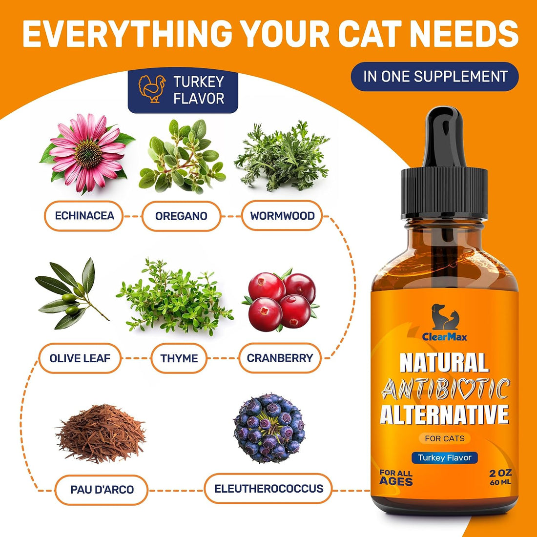 Antibiotics for Cats in Drops – Сat Respiratory Infection Treatment