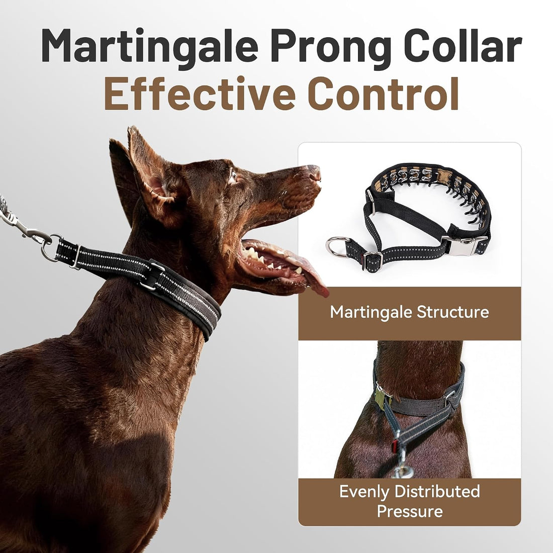 Hidden Prong Collar, Adjustable Martingale Design, M
