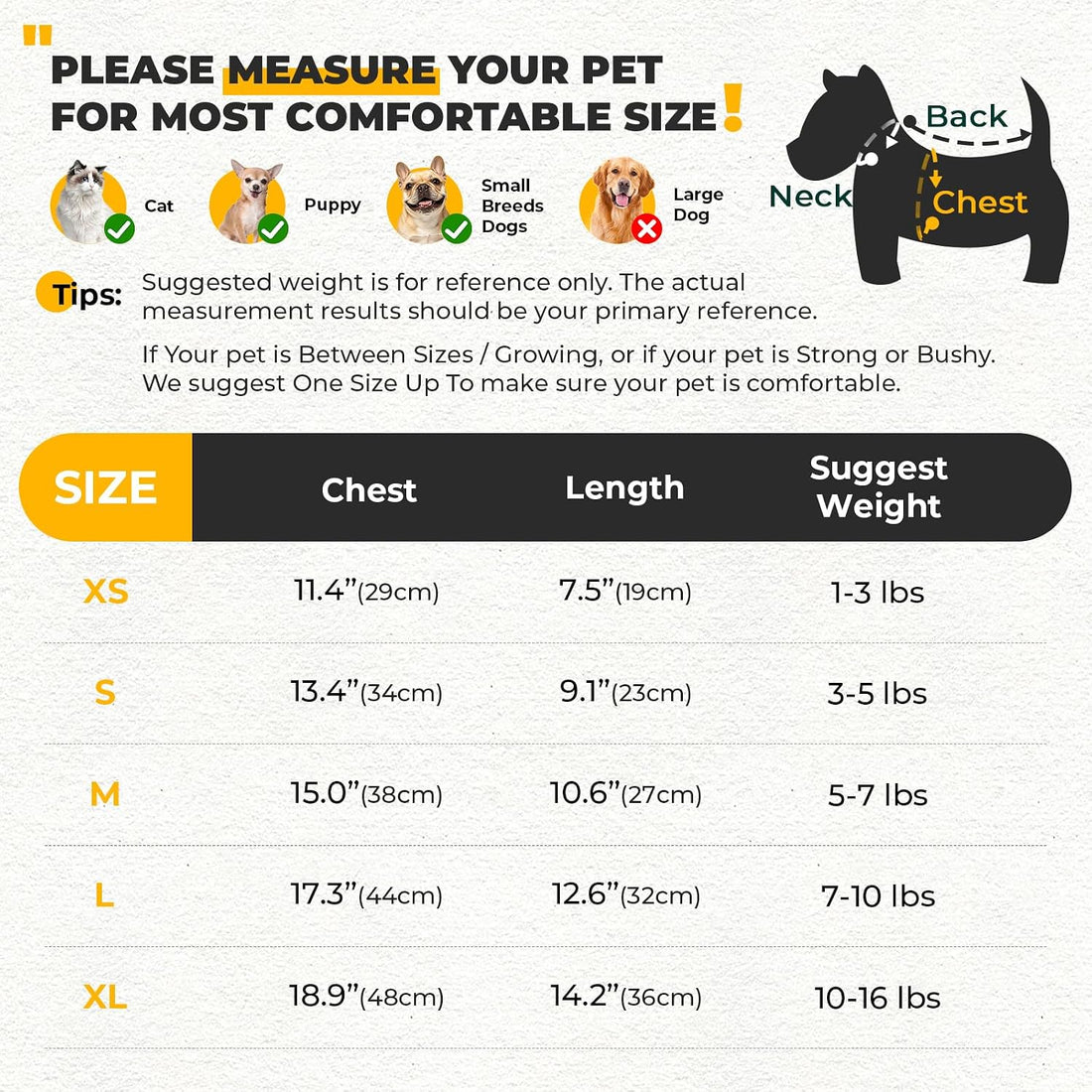 PETCARE Cute Cartoon Cat Shirts for Cats Only Soft Cotton Tshirts