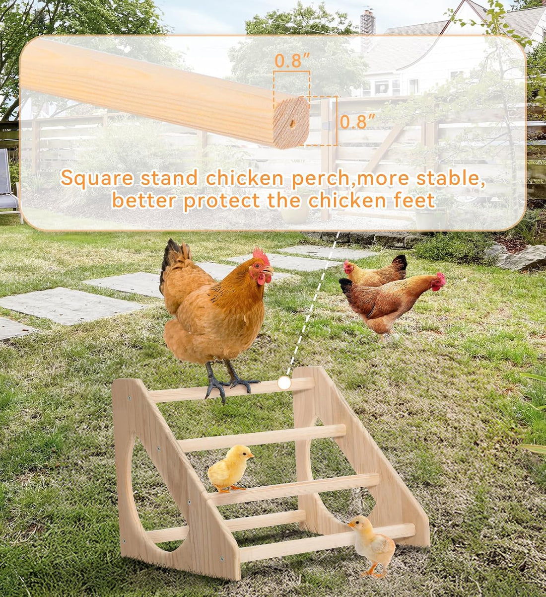 PETSFIT Baby Chick Roosting Bar, Anti-Rotation, Solid Wood