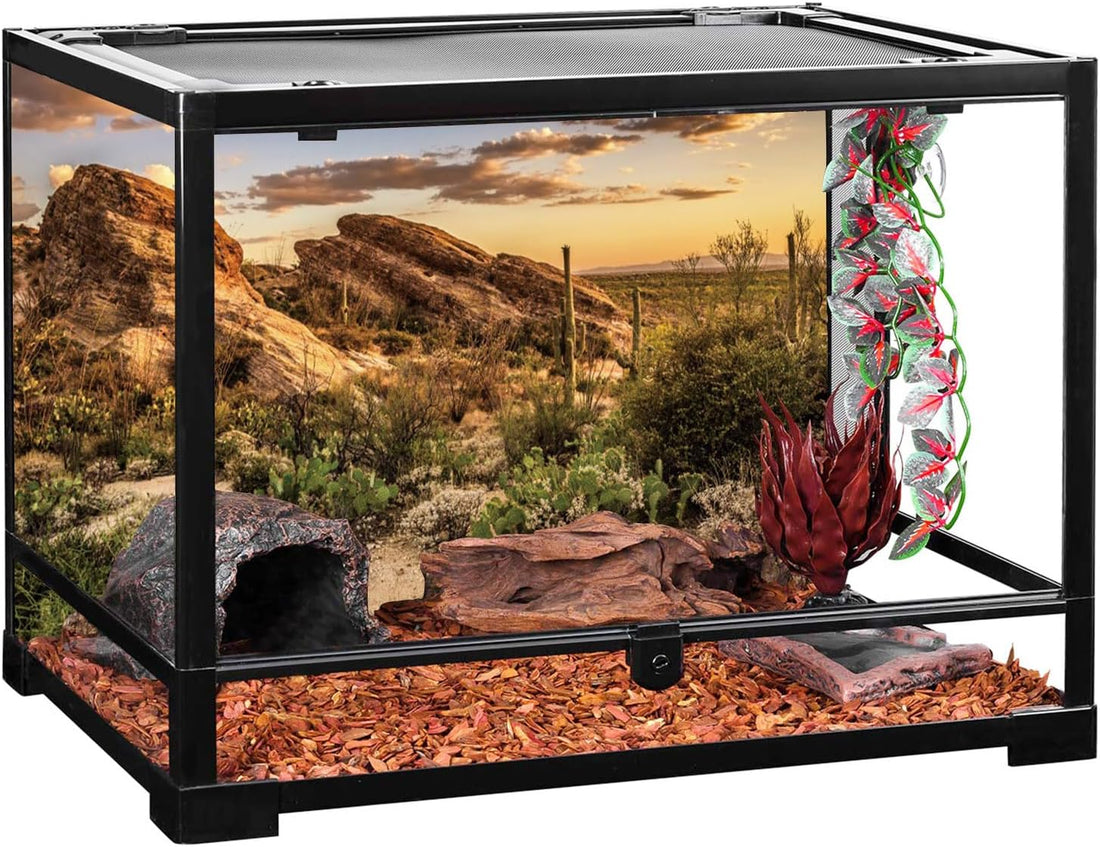 36x18 in Desert Reptile Habitat Backdrop Oasis Cactus Terrarium