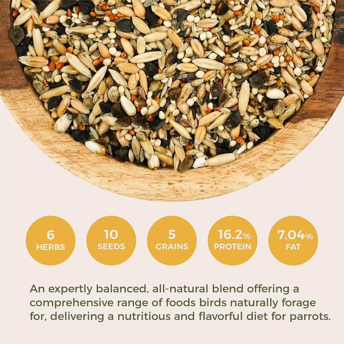 KikiBirds Premium Parrot Food| Protein-Rich Low-Fat Formula