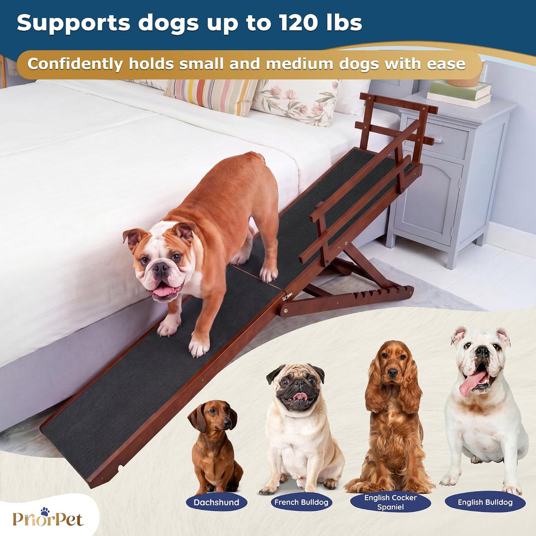 Dog ramp for Bed - PRIORPET Birchwood Adjustable Ramp for Dogs to Get