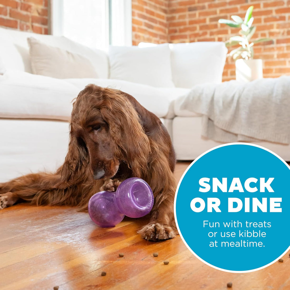 Outward Hound Double Snoop Interactive Treat Dispensing Dog Toy