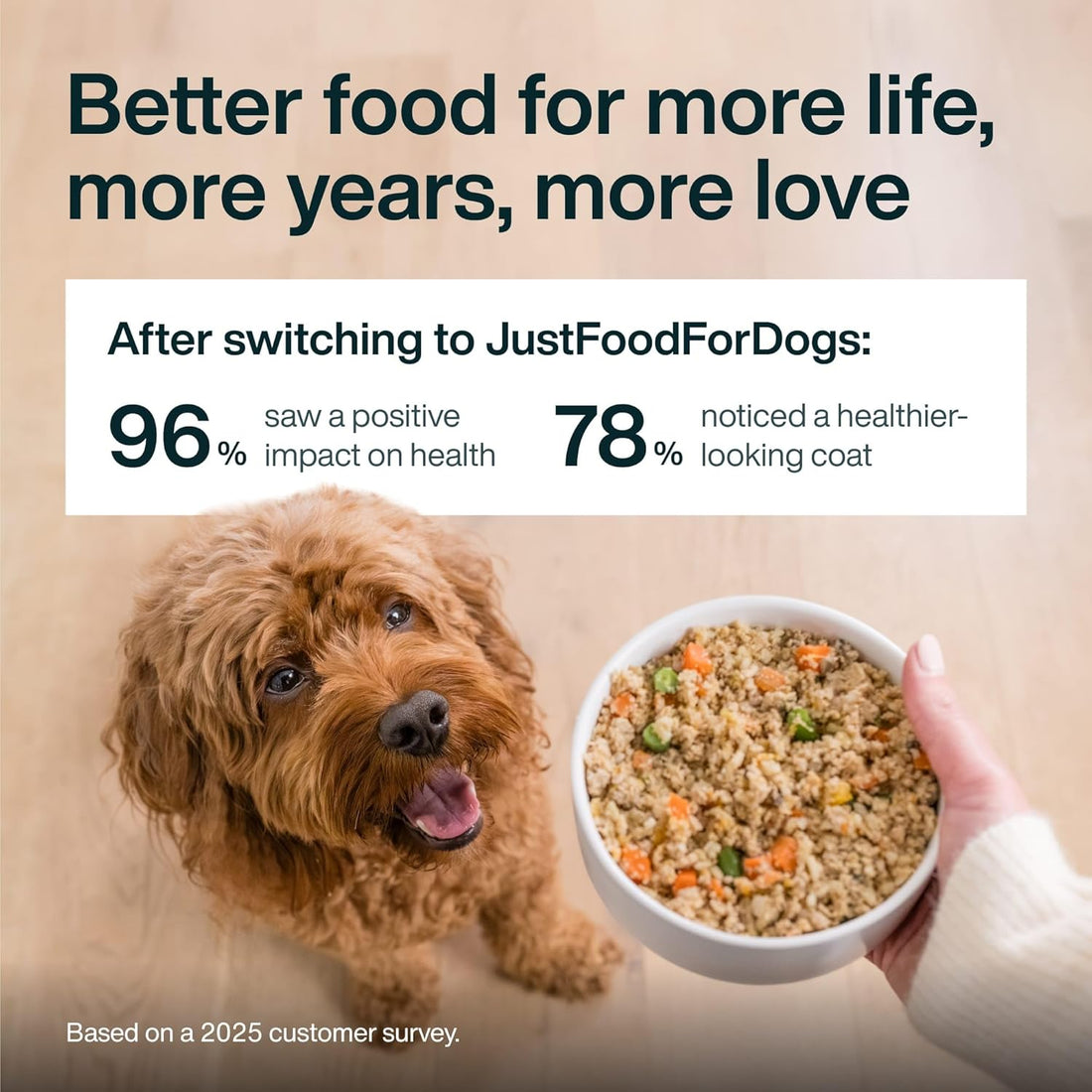 JustFoodForDogs JustFresh Wet Dog Food