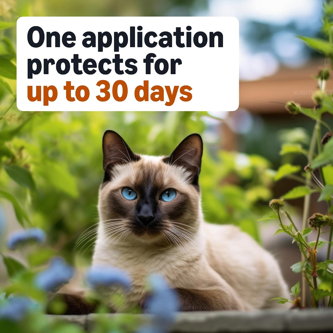 Topical Flea Treatment for Medium Cats, 4 Count, Packaging May Vary