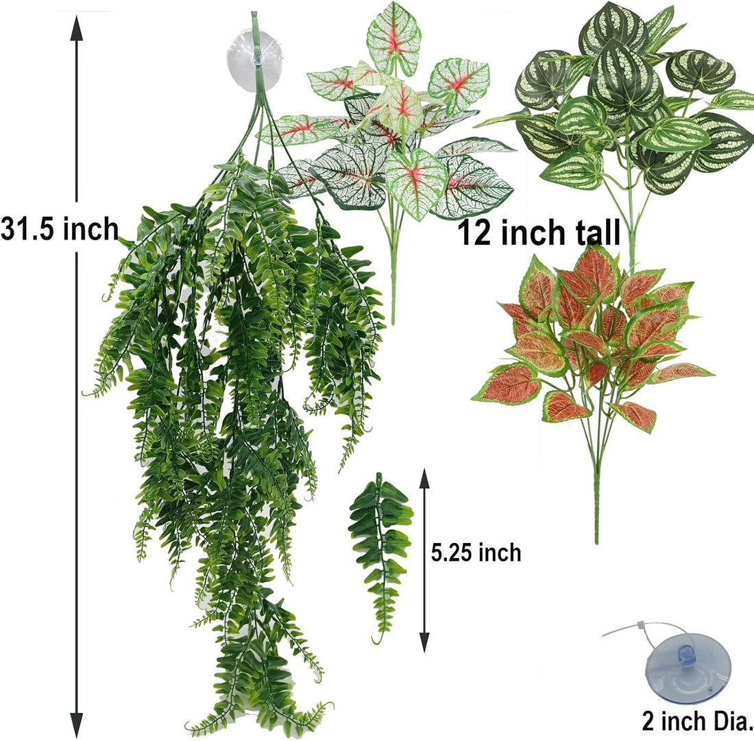 Reptile Plants for Bearded Dragon Tank Accessories