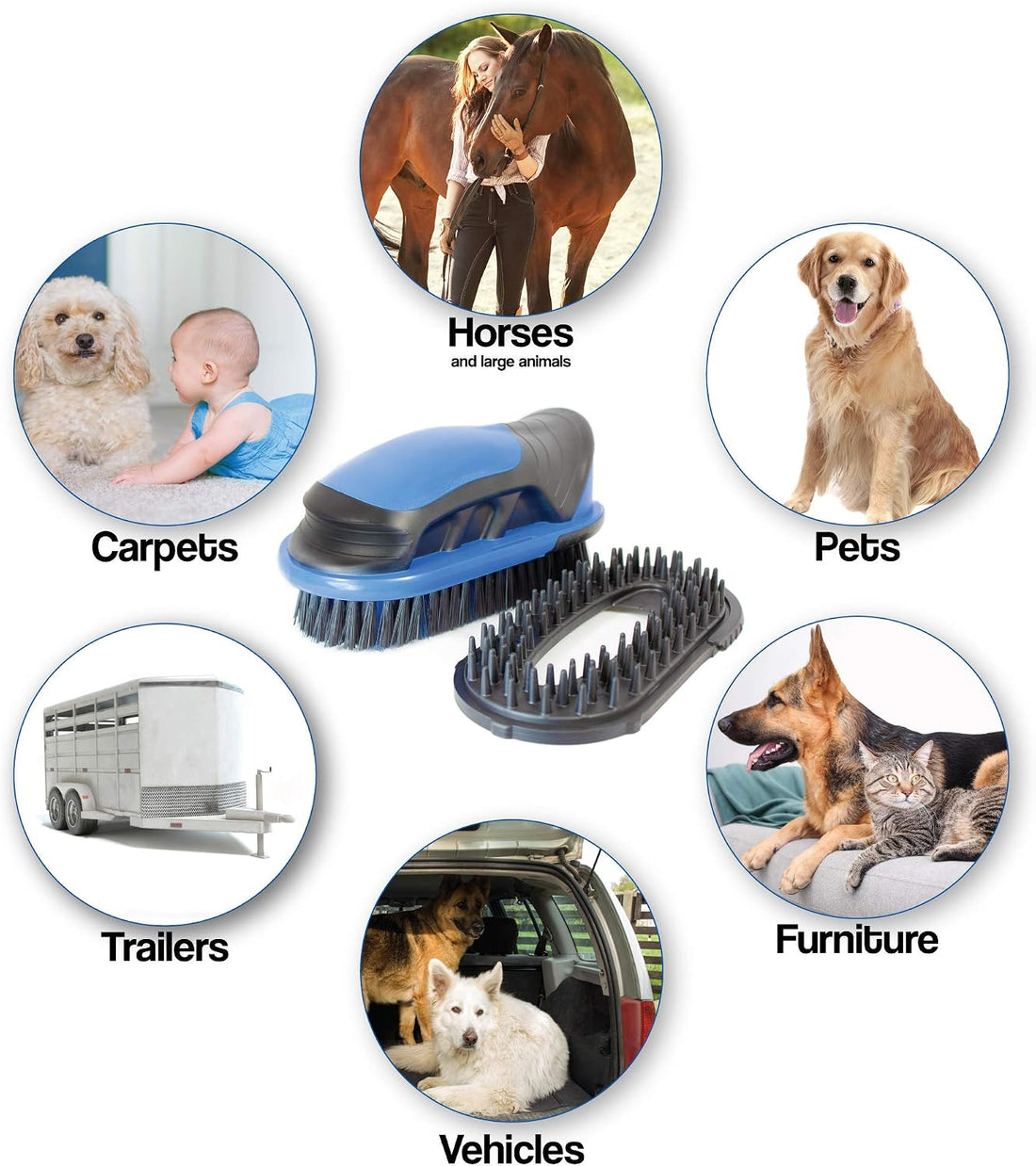 Vacuum Brush Kit for Horse Grooming – Cleaning Furniture, Carpets