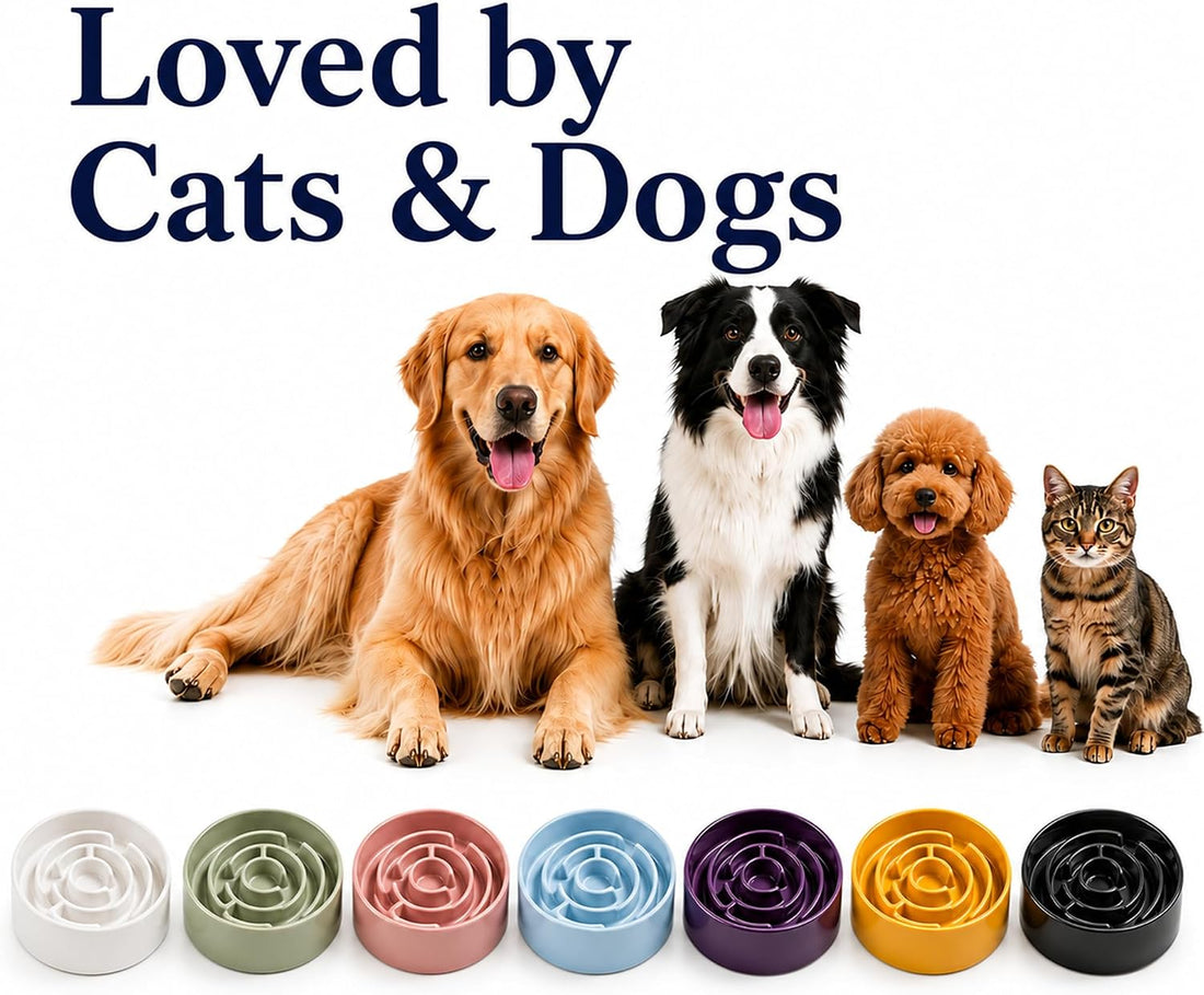 Ceramic Slow Feeder Dog Bowl