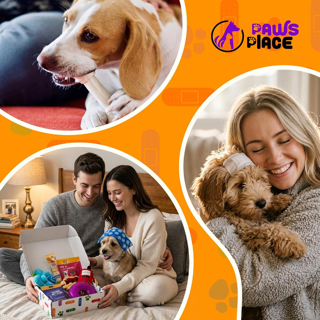 Get Well Soon Dog Gifts, Dog Care Package