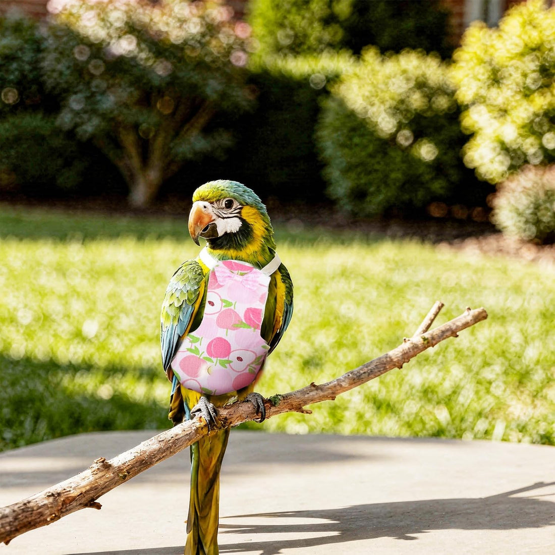 4 Pcs Bird Diaper, Reusable Parrot Diaper with Waterproof Inner