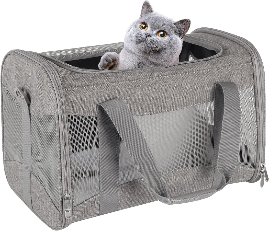 Small Animal Travel, Carrier for Hedgehog Rat Parrot Bird Guinea Pig