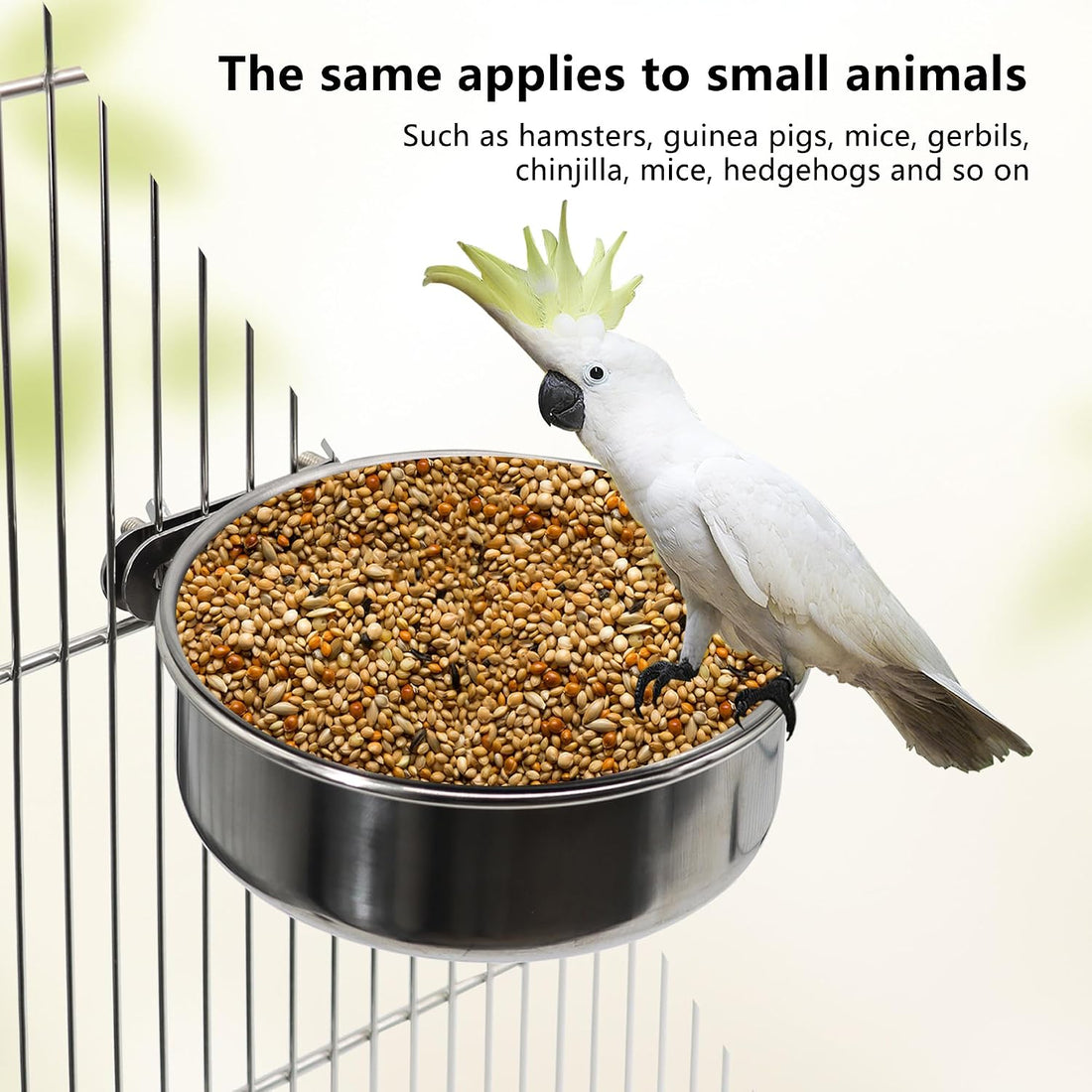 DVHEY 2 Pcs Small Bird Feeding Dish Cups,Parrot Food Bowl Cage