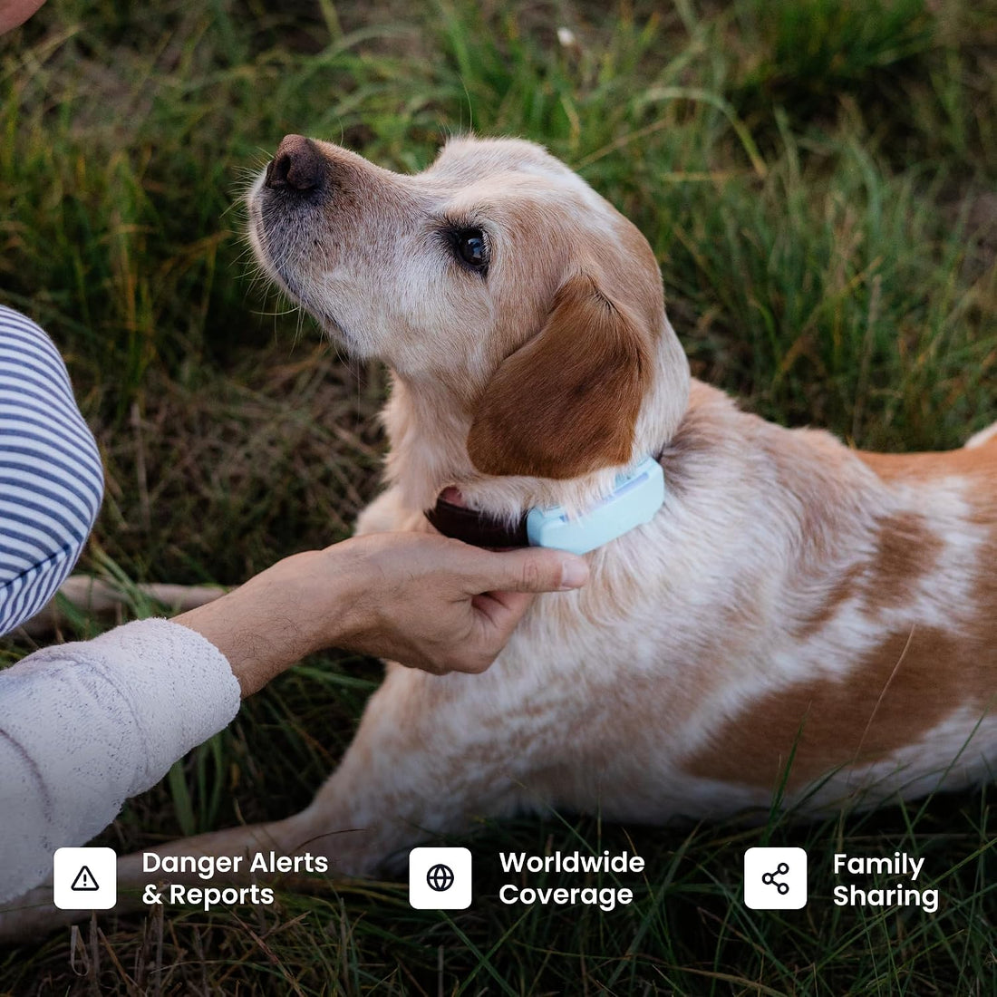 Tractive Smart Dog GPS Tracker | Live Pet Tracker with Virtual Fence