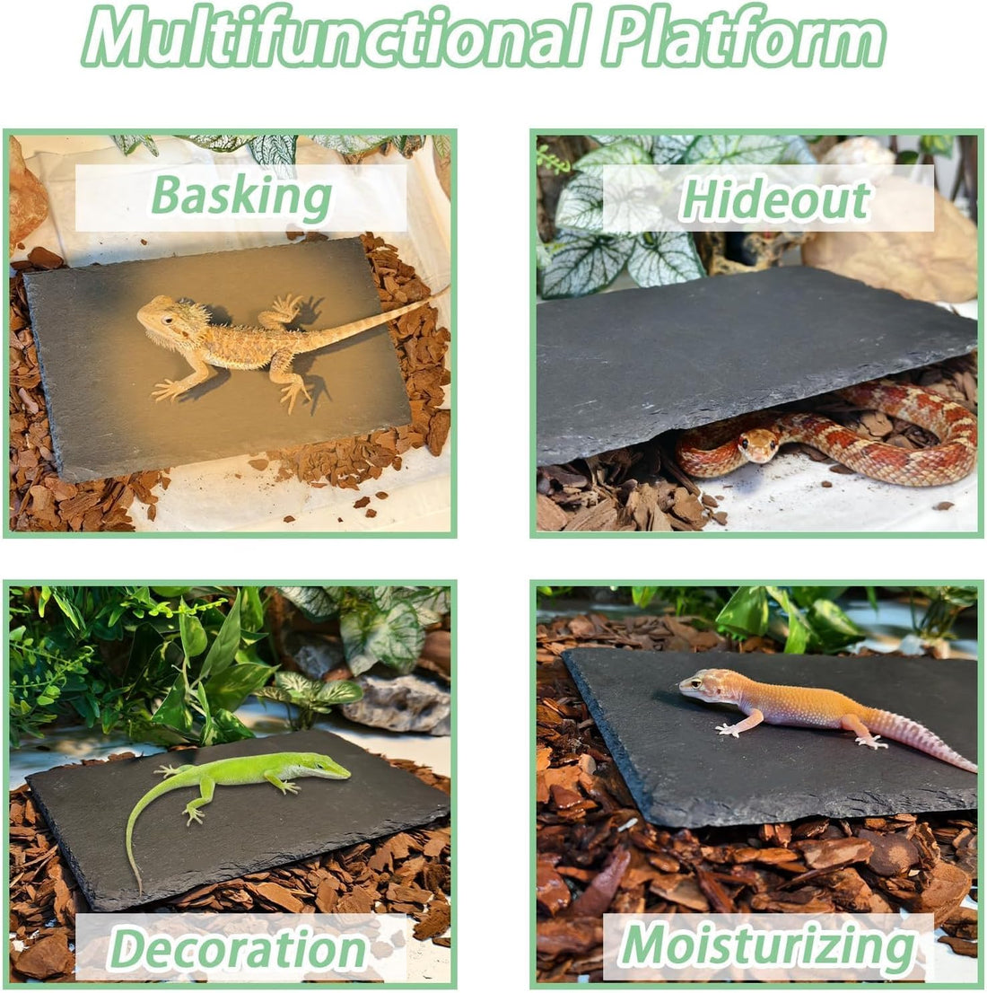 Bearded Dragon Basking Platform Rock Slate with Bark Substrate,M