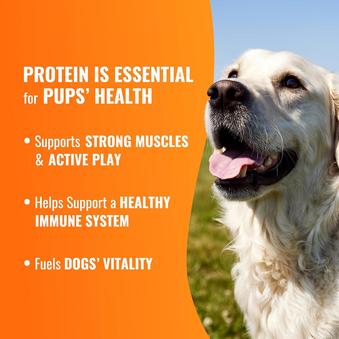 GOOD 'N' FUN Twists Long-Lasting Dog Treat with Real Bully, 12 Count