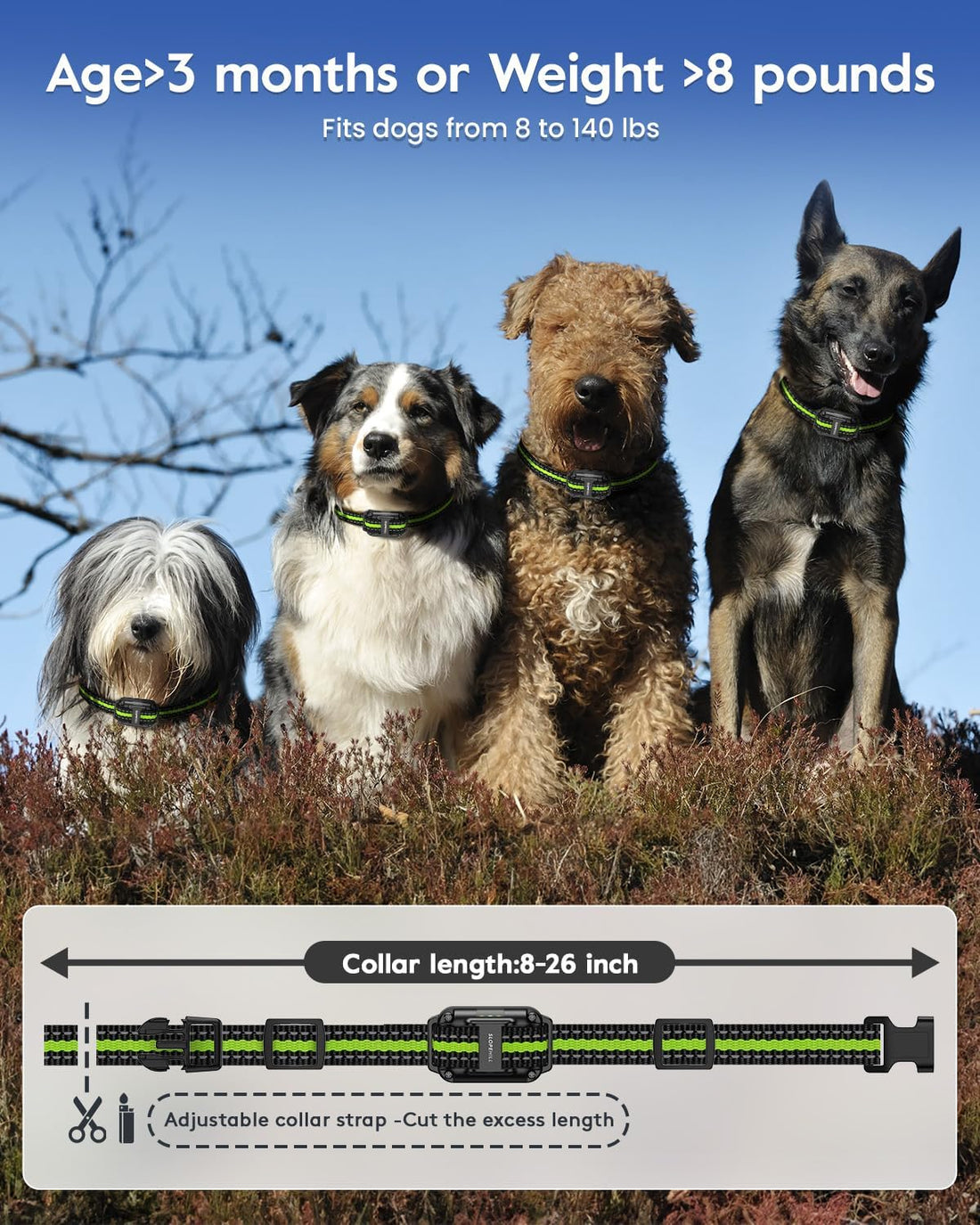 SLOPEHILL Dog Training Collar with Remote