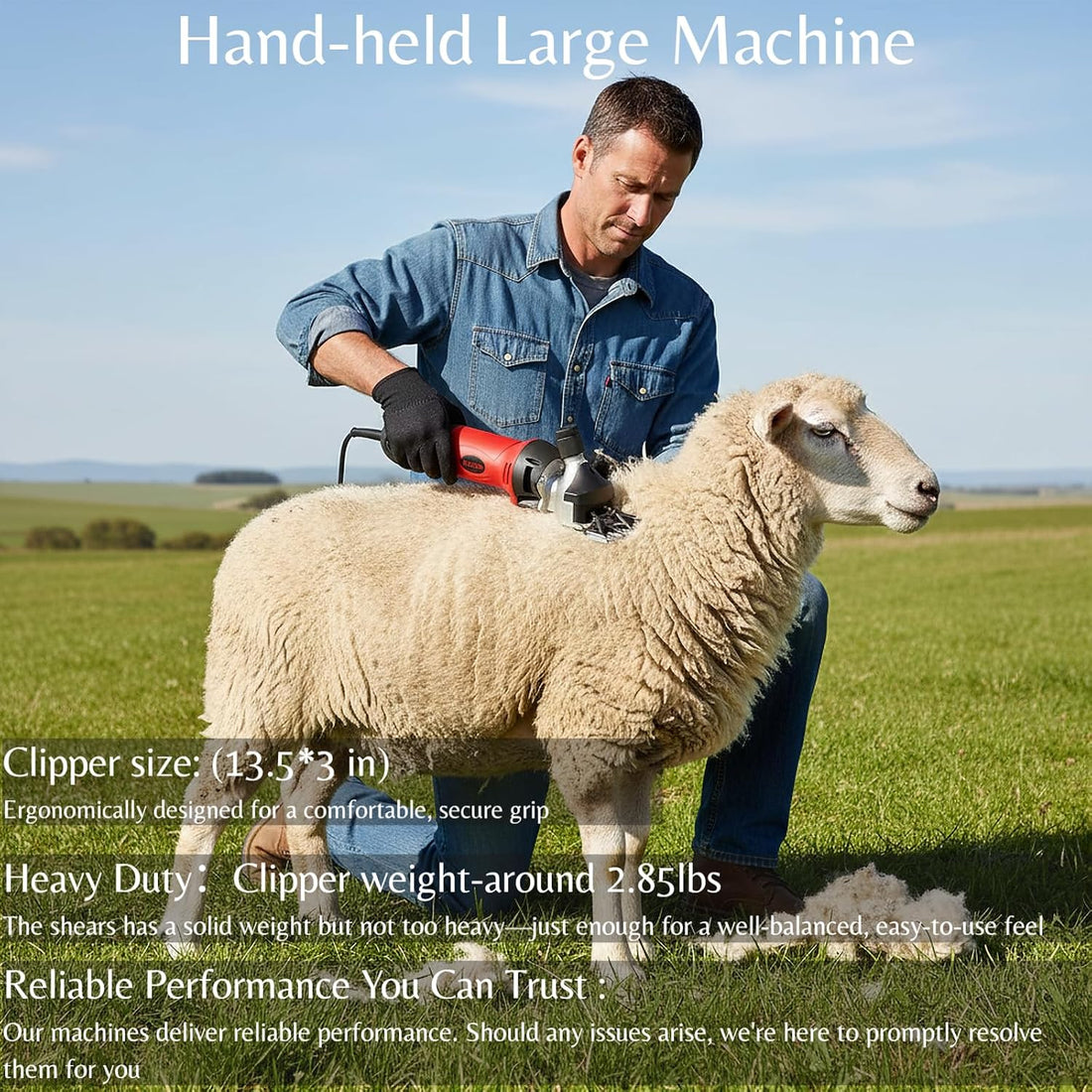 Sheep Shears 500W Professional 6 Speeds