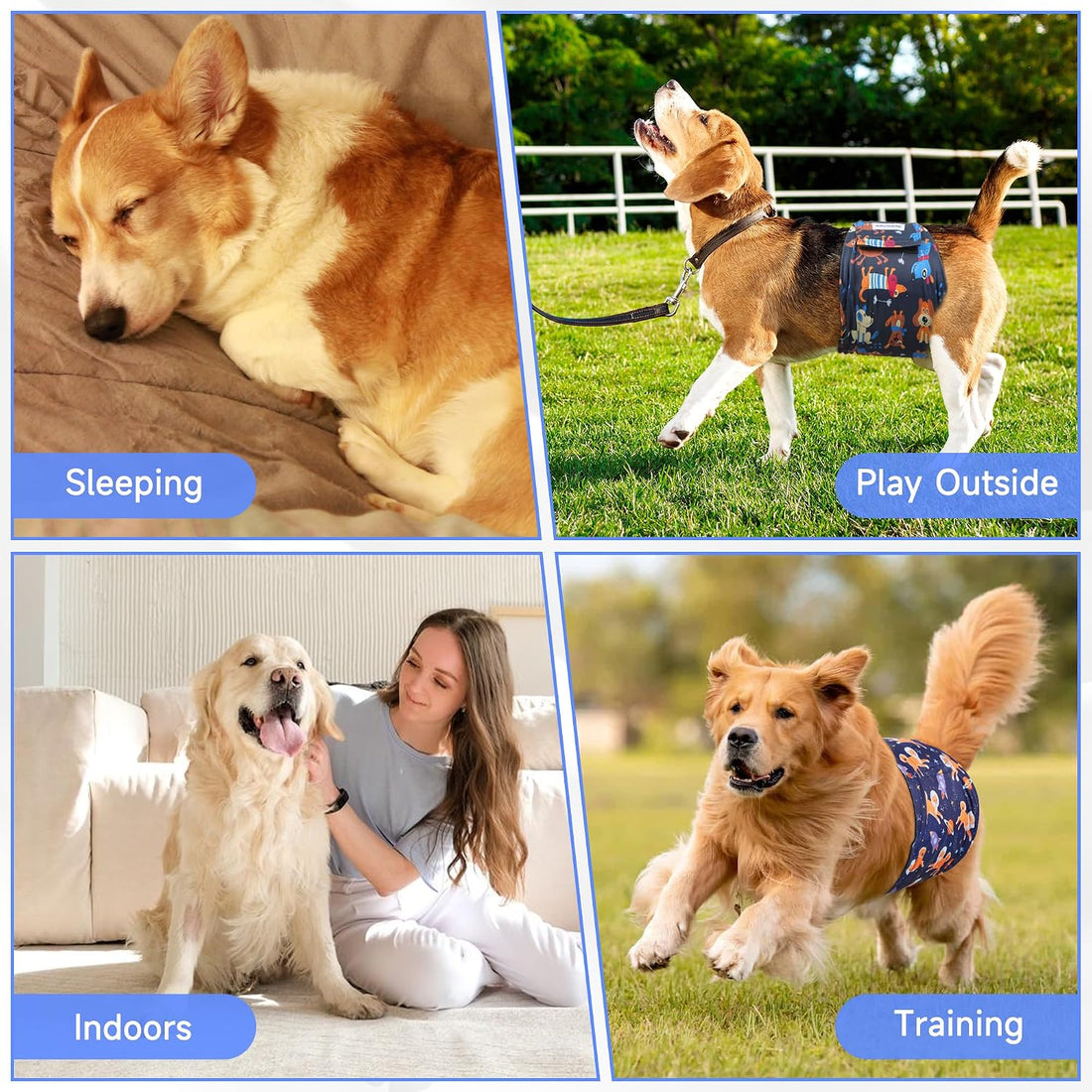 5 Pack Dog Diapers Male, High Absorbing Dog Wraps