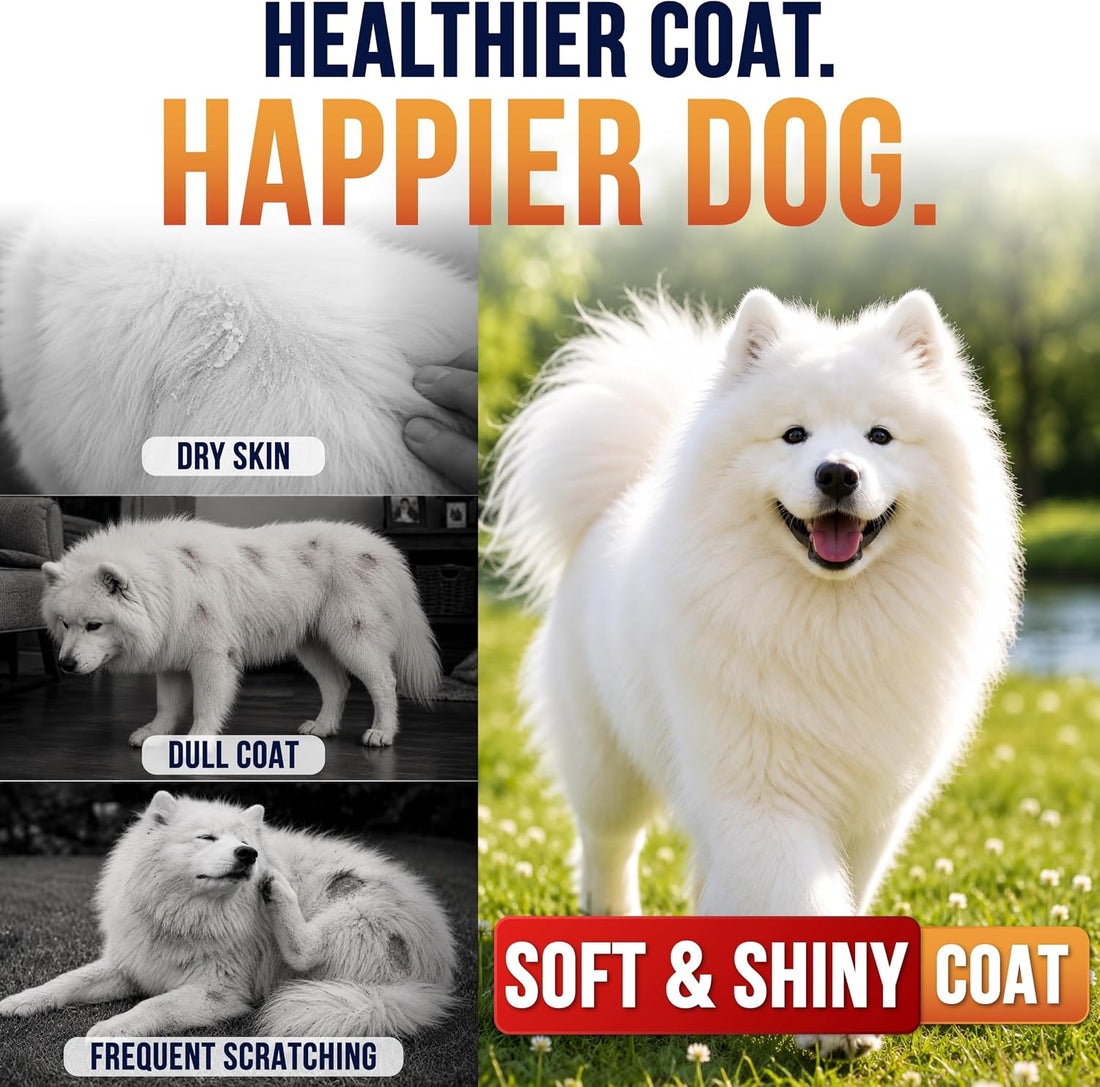 Omega 3 for Dogs - 250 Chews - Fish Oil for Dogs