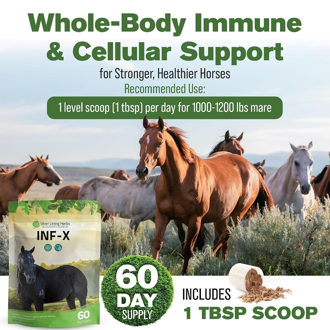 Silver Lining Herbs INF-X Horse Immune Booster Supplement - 1 lb