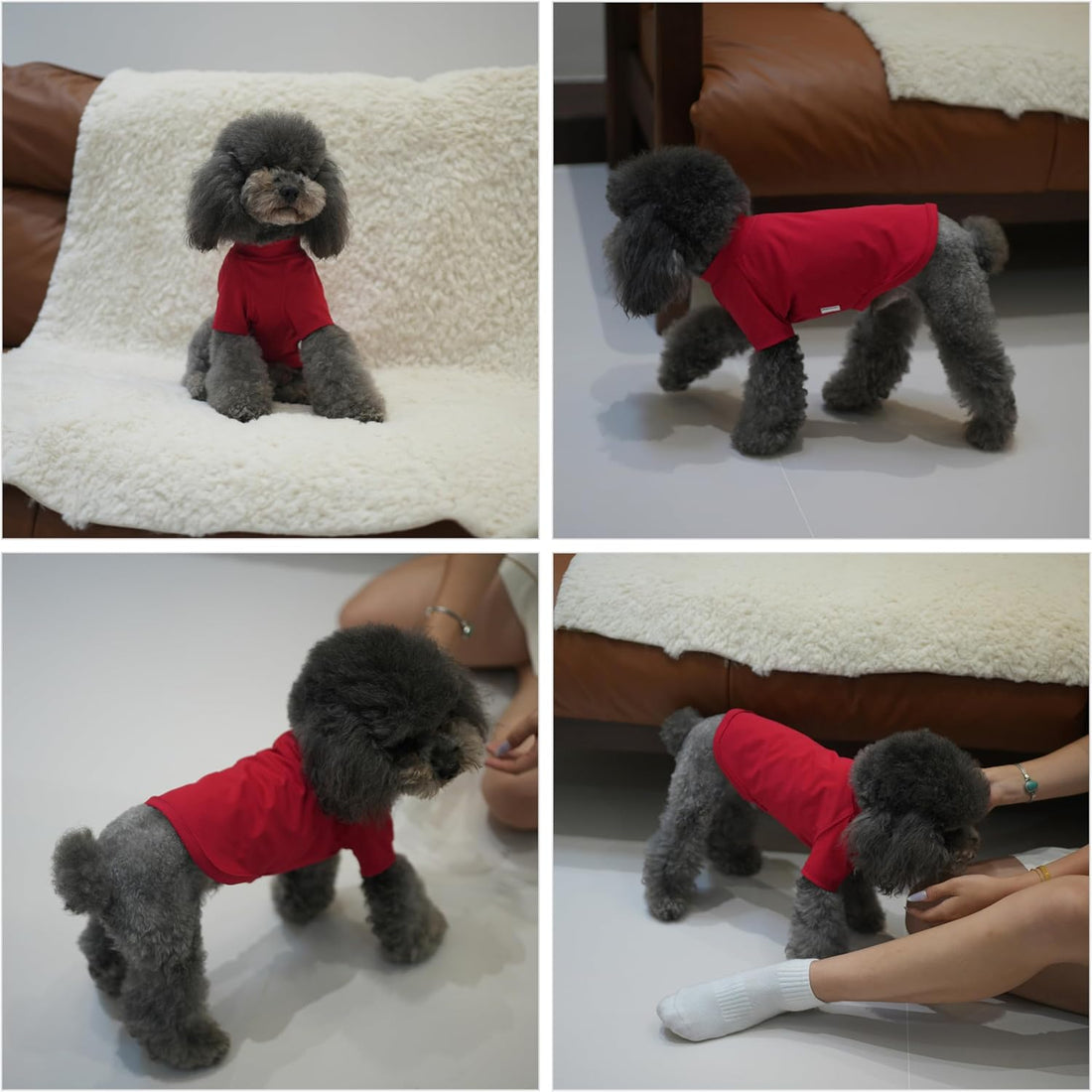 Premium Yoga-Fabric Dog T-Shirt – Breathable, Stretchy