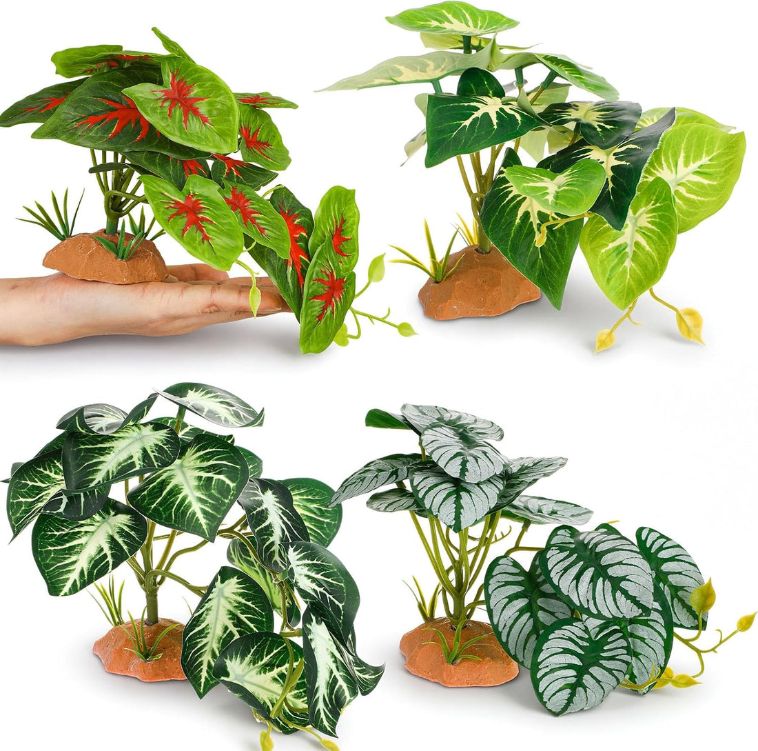 Suncalla 4 Pack Reptile Plants for Terrarium