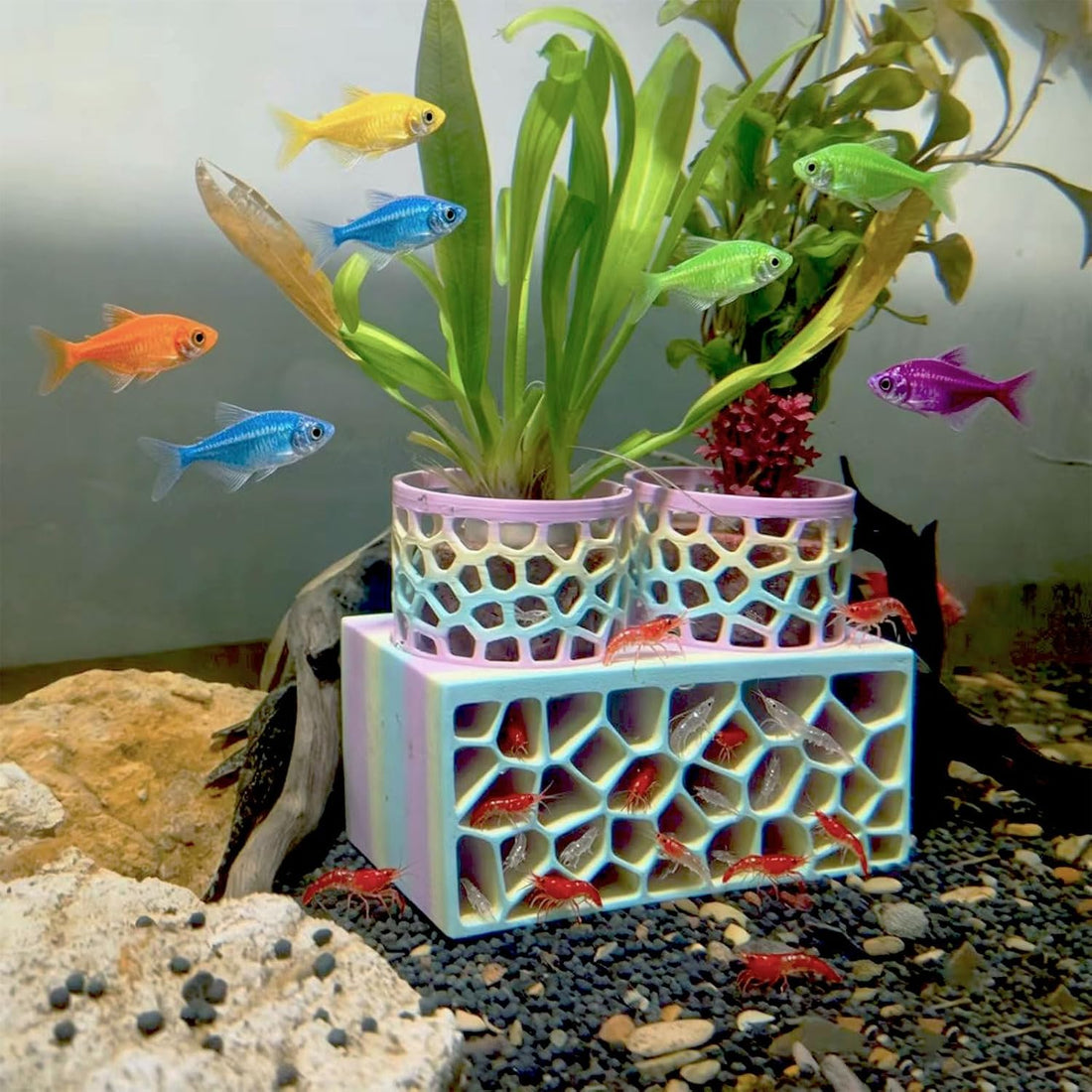 Porous Aquarium Shrimp Hideout with 2 Plant Cups
