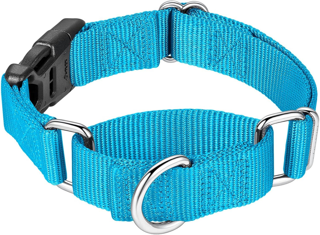 Mikivery Martingale Collar for Dogs Nylon Dog Collar with Quick
