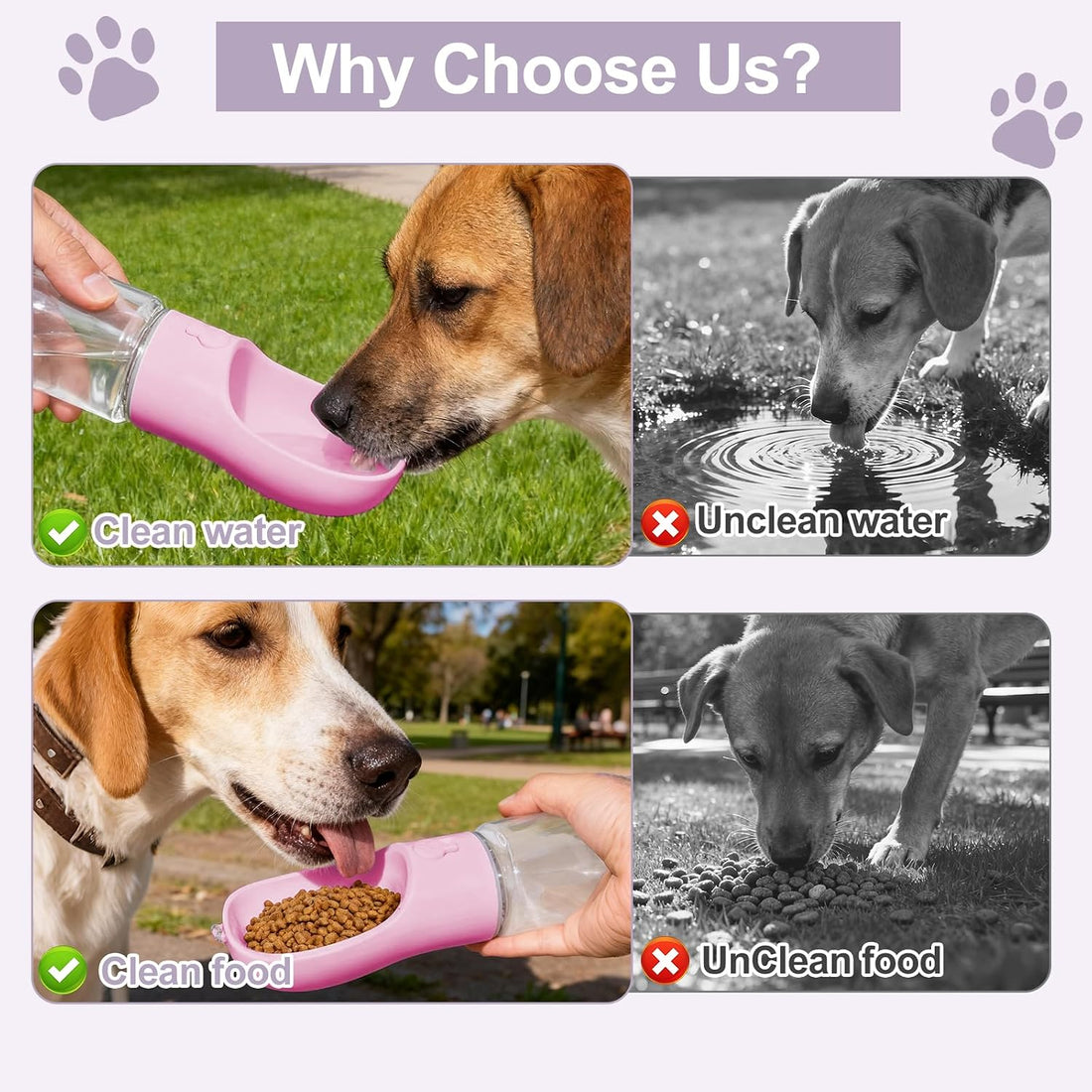 Dog Water Bottle, Portable Water Bottle with Food Container for Dogs