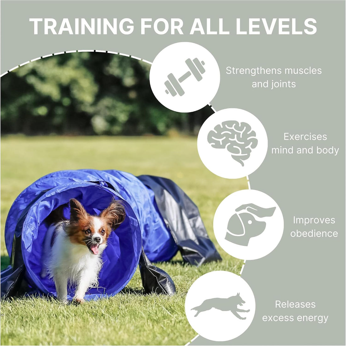 TRIXIE Dog Agility Tunnel– Dog Tunnel for Small Dogs or Cats Agility
