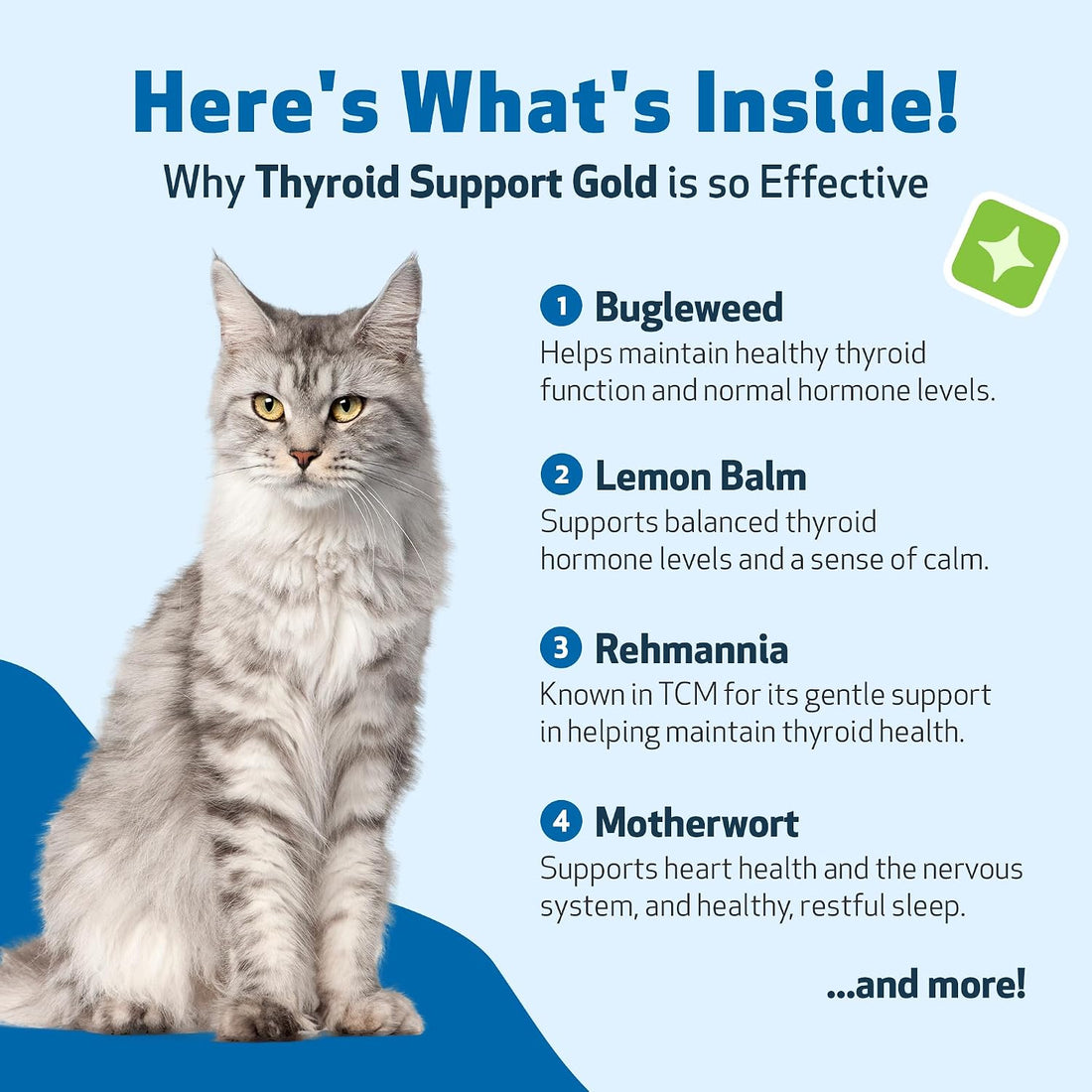 Pet Wellbeing Thyroid Support Gold for Cats - Thyroid Support, 2 oz