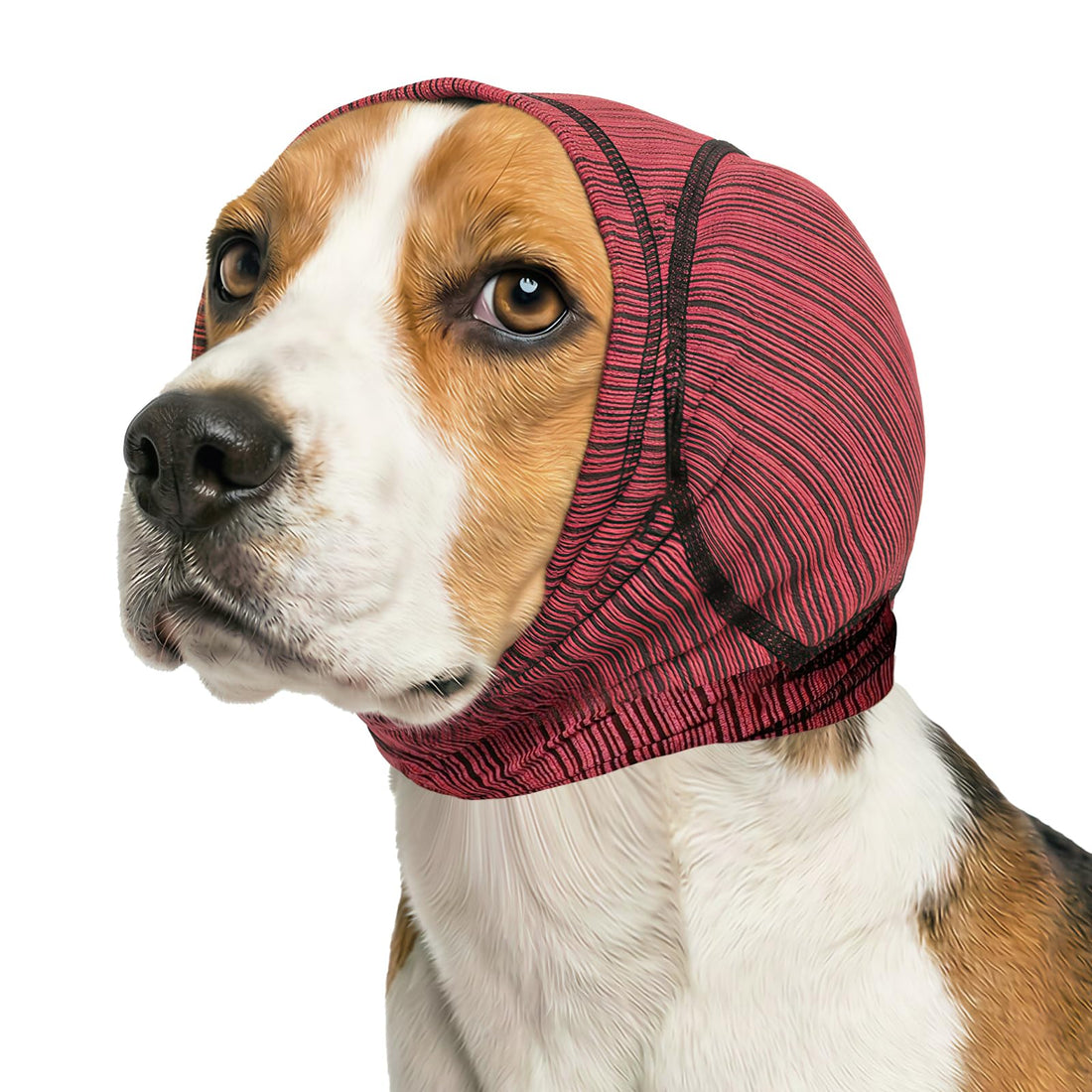 Nanaki Stretchy Dog Ear Covers for Bath Grooming with Padding