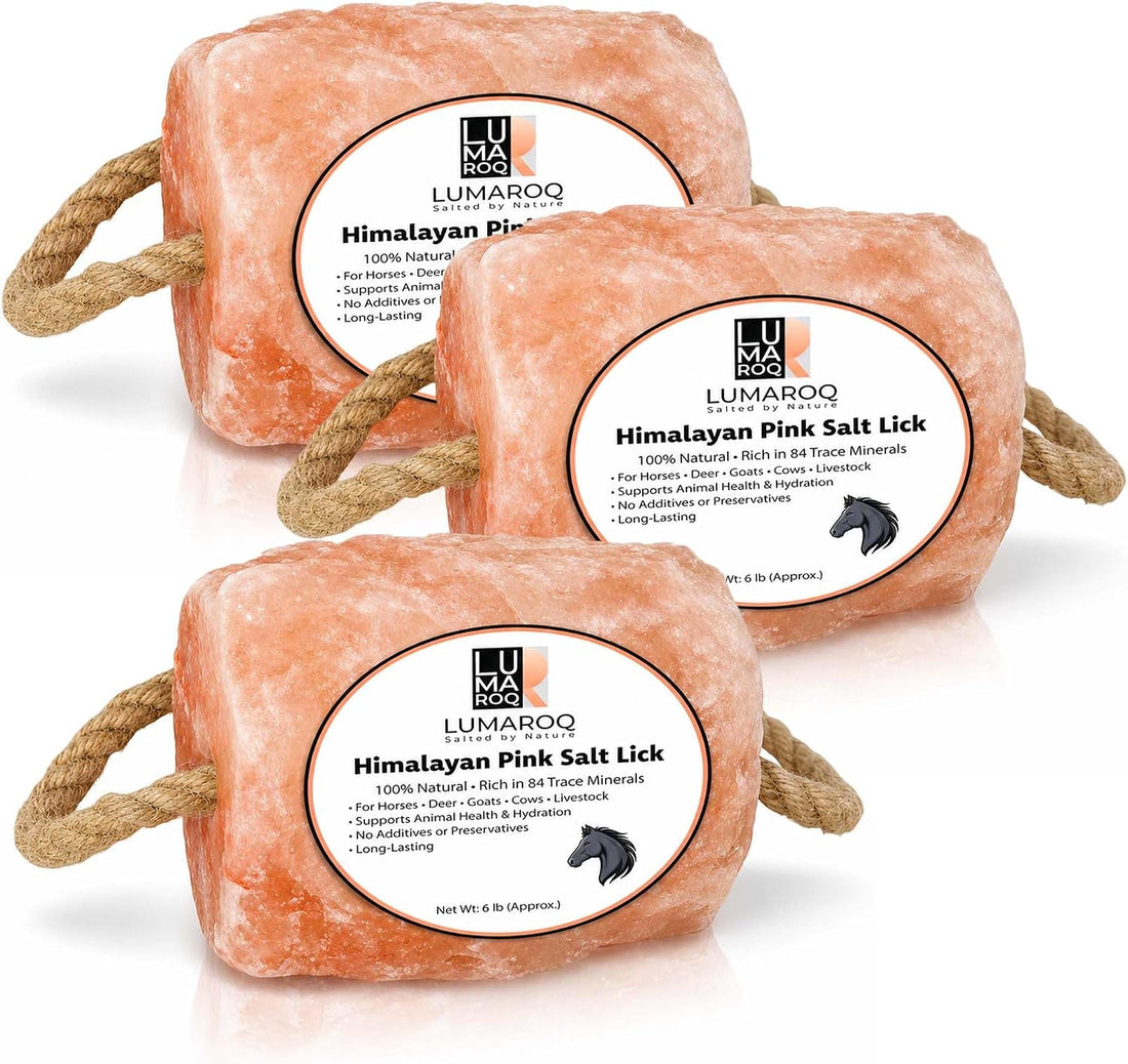 Himalayan Pink Salt Lick On Rope 6lbs for Horses, Deer