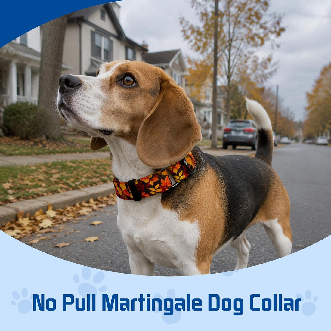Kazazoo Martingale Collar for Dogs with Quick Release Buckle
