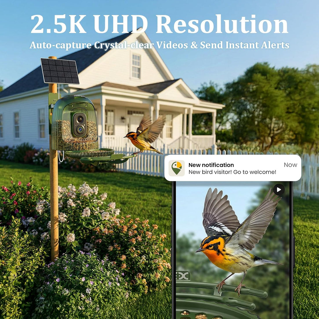 HIXX x COOLFLY Bird Feeder with Camera Solar Powered, Free AI Bird ID