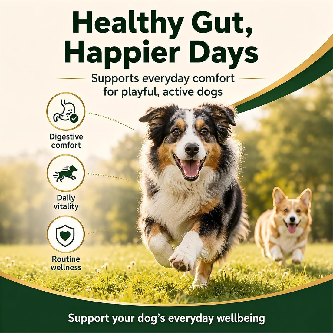 Dewormer for Dogs, Dog Dewormer Liquid, Safe for 6 Weeks and Older
