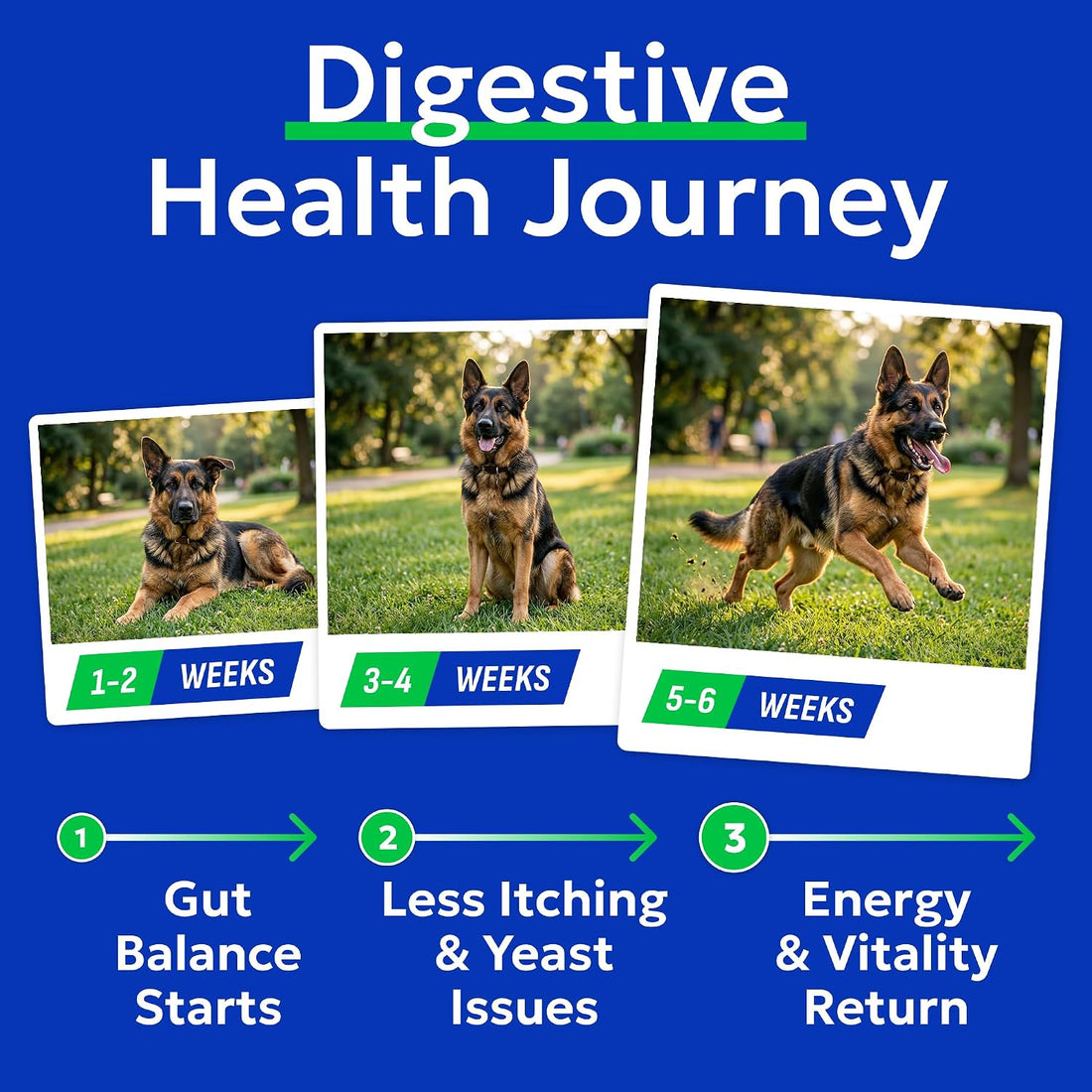 BARK&SPARK Dog Probiotics Powder — Advanced Vet-Formulated Formula