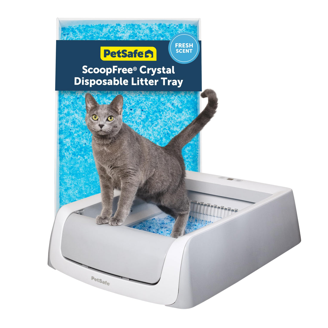 PetSafe ScoopFree Self-Cleaning Cat Litterbox