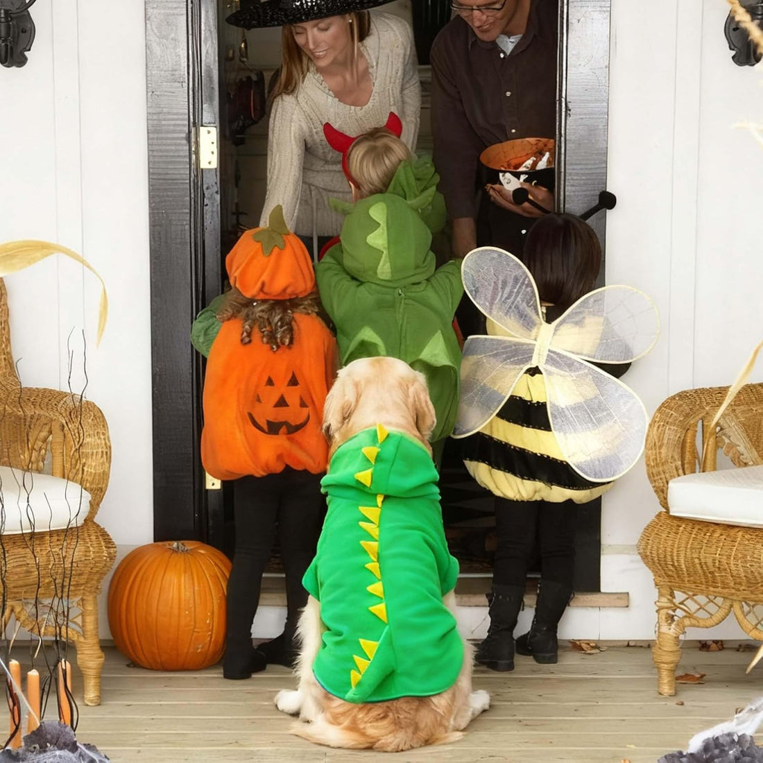 FLAdorepet Halloween Large Dog Dinosaur Costume Dino Outfits