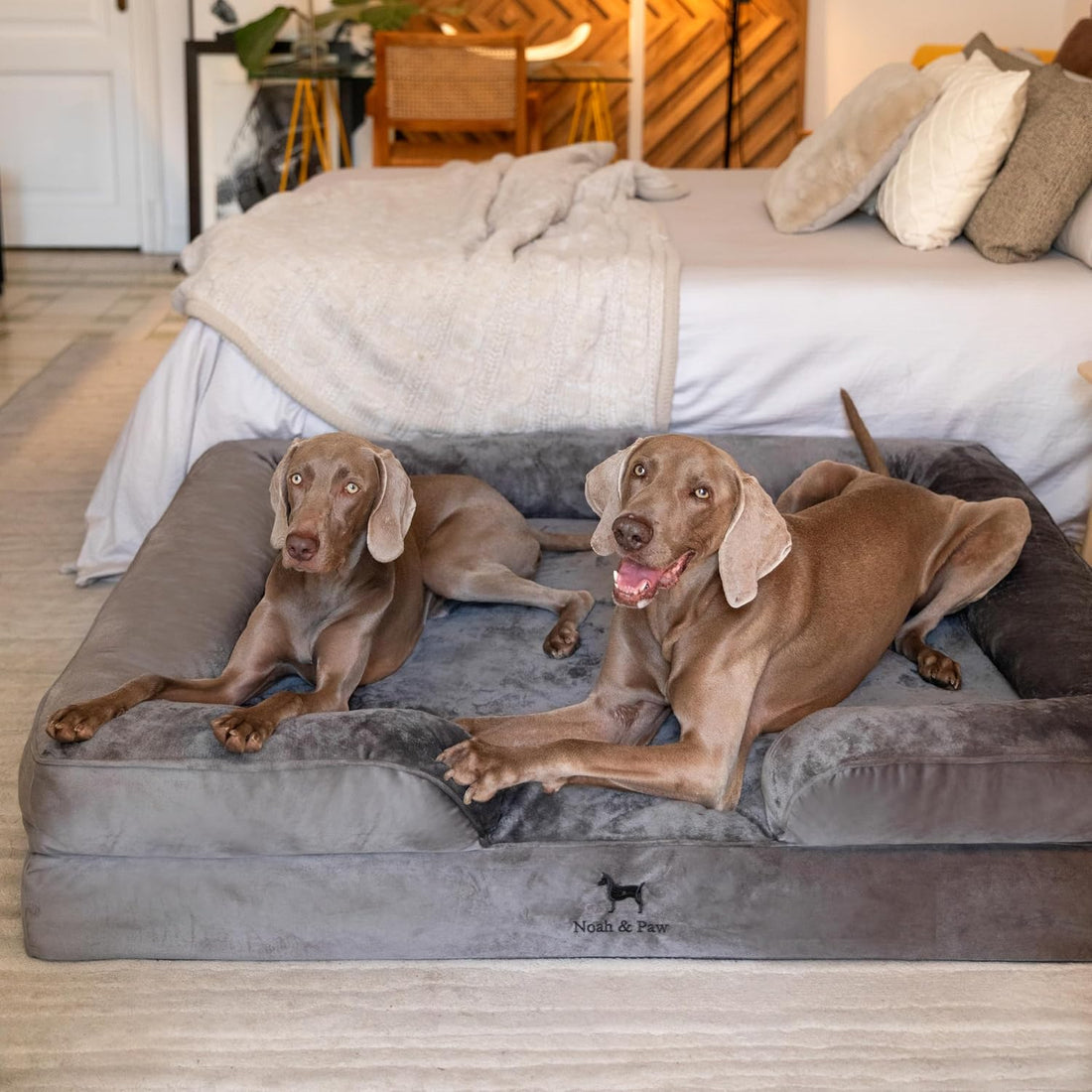 NOAH & PAW XXL Dog Bed, Orthopedic Memory Cooling Foam 55x45x11in