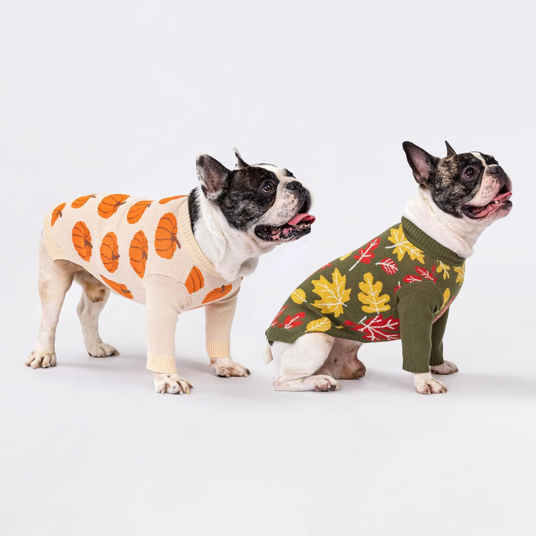 Fitwarm Pumpkin Dog Sweater, Thanksgiving Outfit for Small Dogs Boy