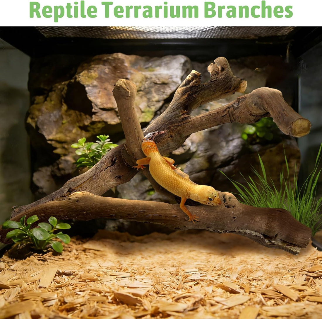 Reptile Branch Decor, Snake Climbing Wood Branches, Terrarium Logs