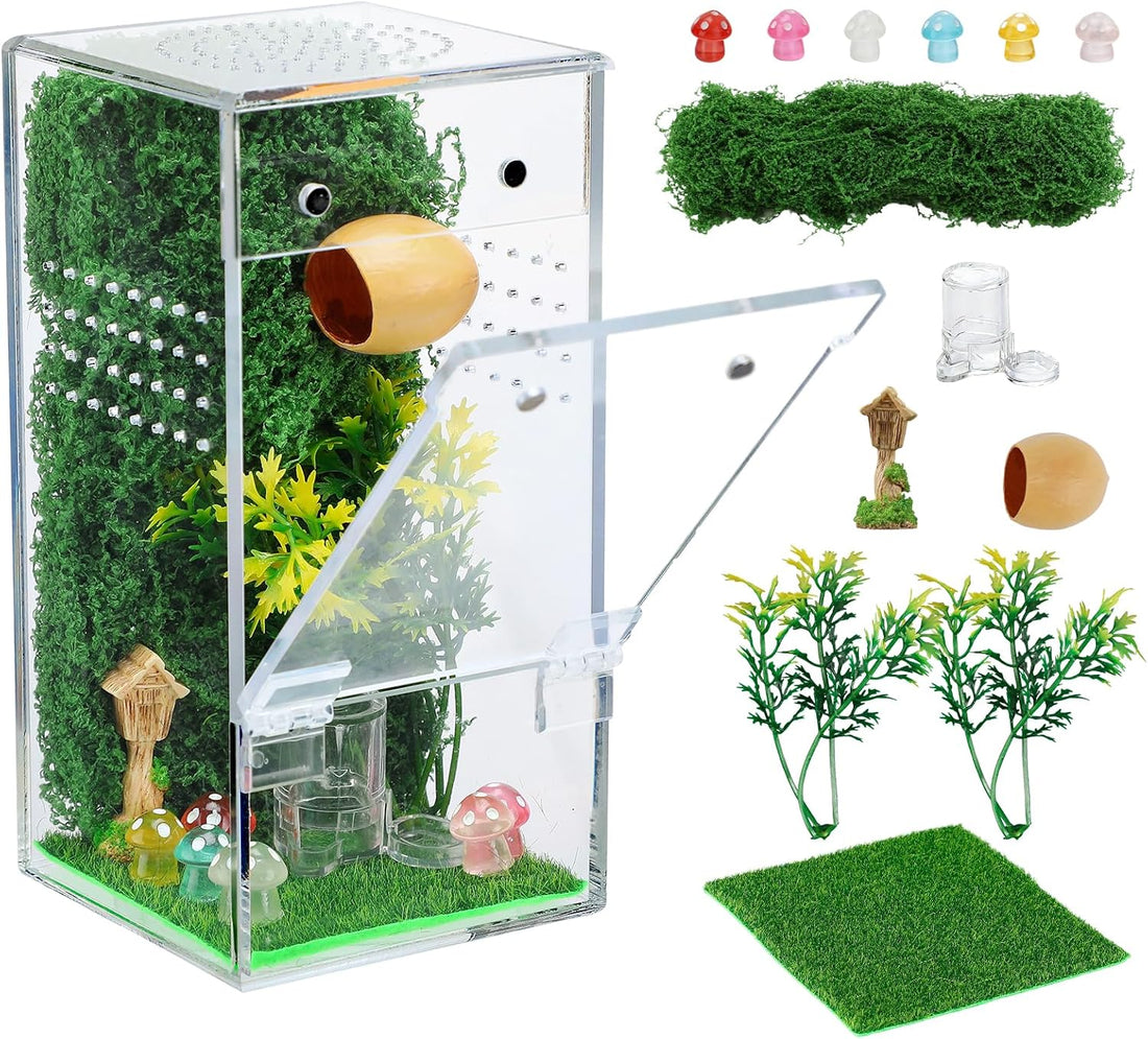 Escape-Proof One-Piece Jumping Spider Enclosure Accessories