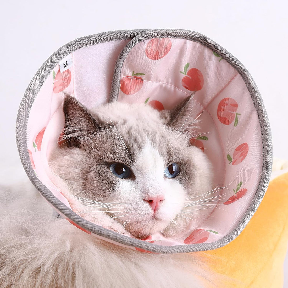 PawsPik Adjustable Soft Recovery Cone for Dogs & Cats, Small
