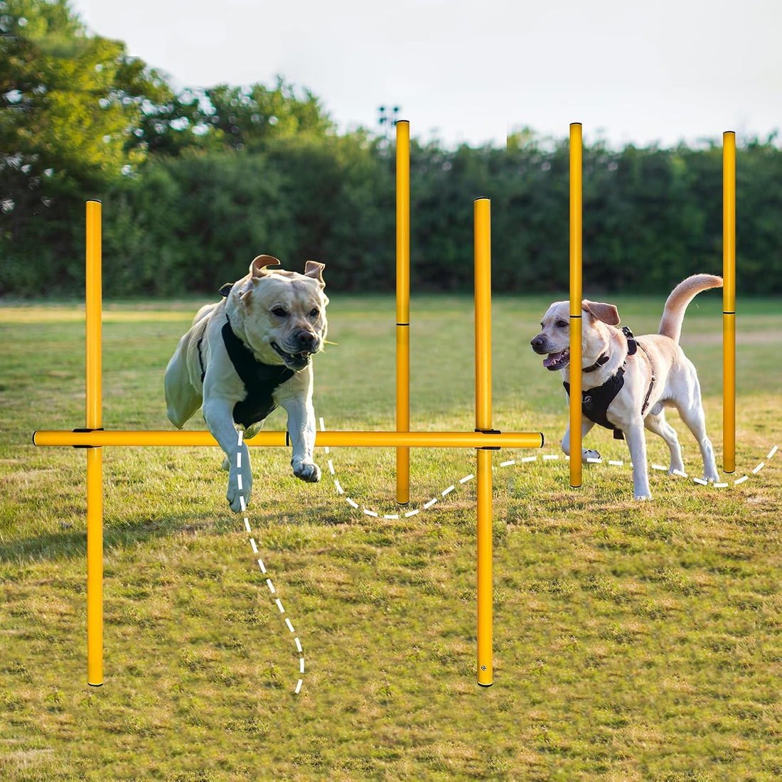 TNZMART 2.6 FT Dog Agility Obstacle Course Backyard Set Wave Poles